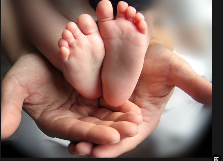 好孕在此发生 好孕在此发生